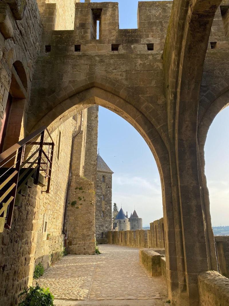 Vue Sur Cite - Spa Carcassonne Exterior foto