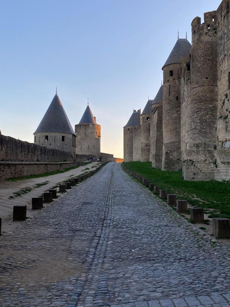 Vue Sur Cite - Spa Carcassonne Exterior foto